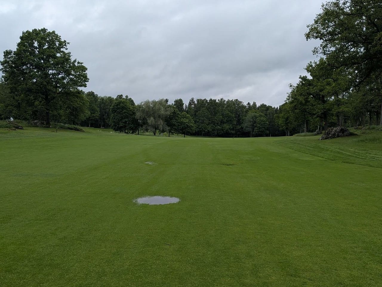 Golfbilsförbud!