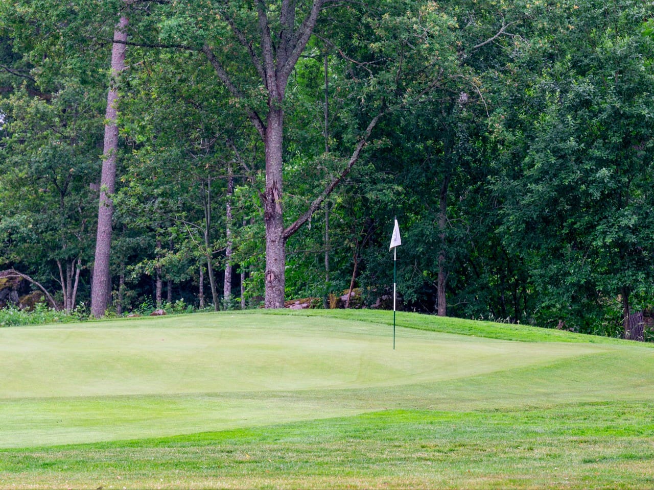 Golfbilsförbud!