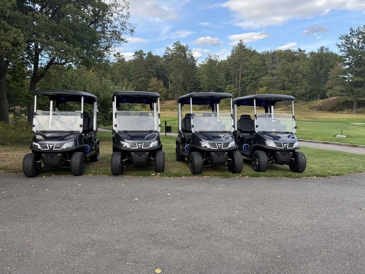 Golfbilsförbud!